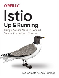 Cover Istio: Up and Running
