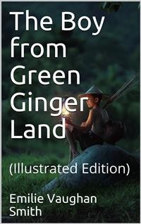 Cover The Boy from Green Ginger Land
