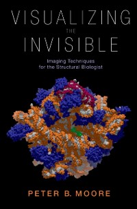 Cover Visualizing the Invisible