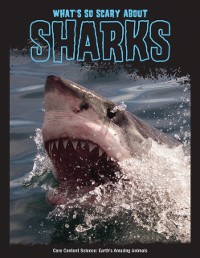 Cover What's So Scary about Sharks?
