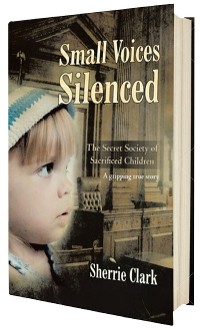 Cover SMALL VOICES SILENCED
