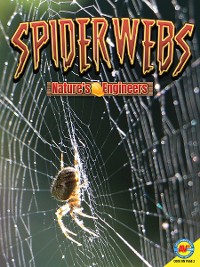 Cover Spiderwebs