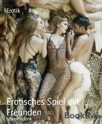 Cover Erotisches Spiel mit Freunden