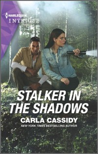 Cover Stalker in the Shadows