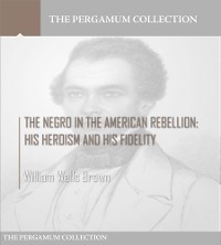 Cover The Negro in the American Rebellion: His Heroism and His Fidelity
