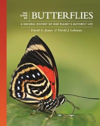 Cover Lives of Butterflies