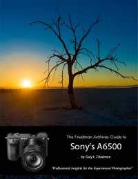 Cover Friedman Archives Guide to Sony's A6500 - Professional Insights for the Experienced Photographer