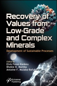 Cover Recovery of Values from Low-Grade and Complex Minerals : Development of Sustainable Processes