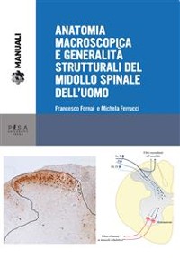 Cover Anatomia macroscopica e generalità strutturali del midollo spinale dell'uomo