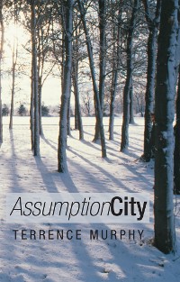 Cover Assumption City