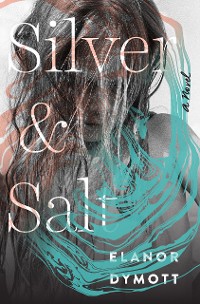 Cover Silver and Salt: A Novel