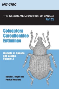 Cover Coleoptera, Curculionidae, Entiminae