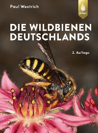 Cover Die Wildbienen Deutschlands