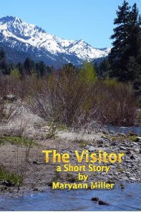 Cover Visitor