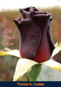 Cover Black Rose