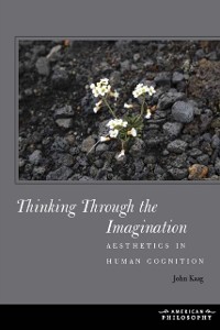 Cover Thinking Through the Imagination
