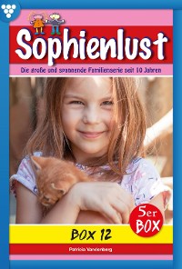 Cover Sophienlust Box 12 – Familienroman