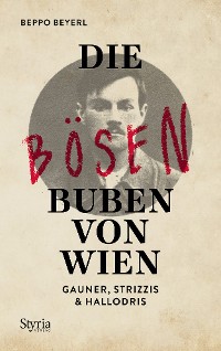 Cover Die bösen Buben von Wien