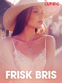 Cover Frisk bris – erotiske noveller