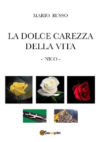 Cover La dolce carezza della vita  - Nico -