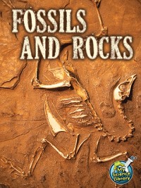 Cover Fossils and Rocks