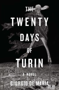 Cover The Twenty Days of Turin: A Novel