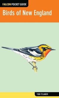 Cover Birds of New England