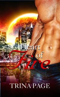 Cover First Meeting: Heart of Fire Book 1 (Shifter Romance)