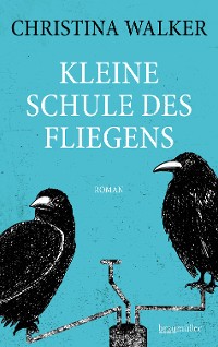 Cover Kleine Schule des Fliegens