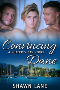 Cover Convincing Dane