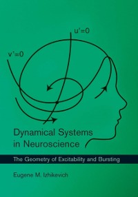 Cover Dynamical Systems in Neuroscience