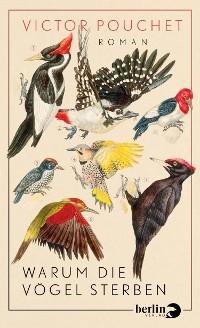 Cover Warum die Vögel sterben