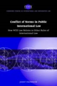 Cover Conflict of Norms in Public International Law