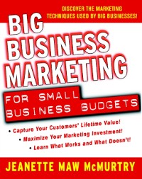 Cover Big Business Marketing For Small Business Budgets