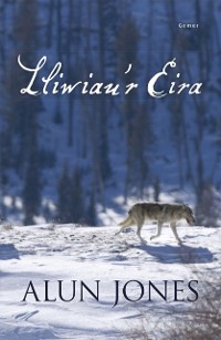 Cover Lliwiau'r Eira