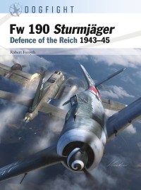 Cover Fw 190 Sturmjäger