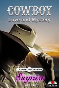 Cover Cowboy Love and Mystery - Book 29 - Surprise