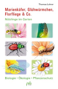 Cover Marienkäfer, Glühwürmchen, Florfliege & Co.