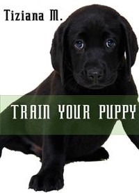 Cover Train Your Puppy