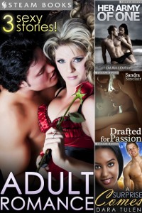 Cover ADULT ROMANCE - 3 Sexy Stories!