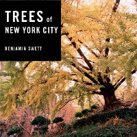 Cover Trees of New York City