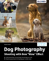 Cover Dog Photography