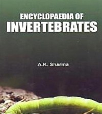 Cover Encyclopaedia Of Invertebrates