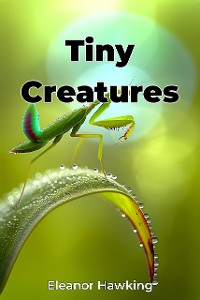 Cover Tiny Creatures