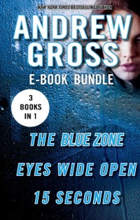 Cover Andrew Gross Thriller