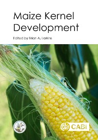 Cover Maize Kernel Development