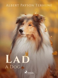 Cover Lad: A Dog