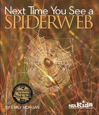 Cover Next Time You See a Spiderweb