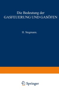 Cover Die Bedeutung der Gasfeuerung und Gasofen
