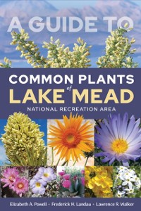 Cover Guide to Common Plants of Lake Mead National Recreation Area